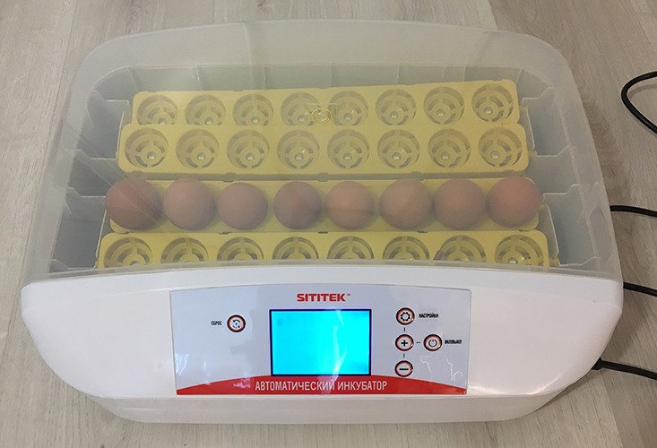 Автоматический инкубатор для яиц 