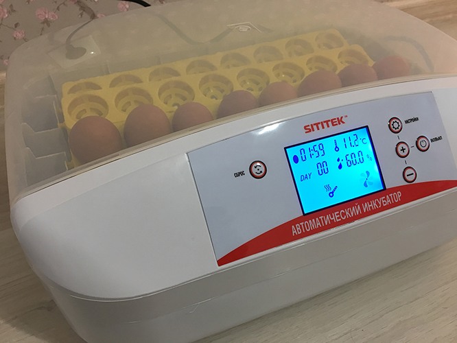 Автоматический инкубатор для яиц 