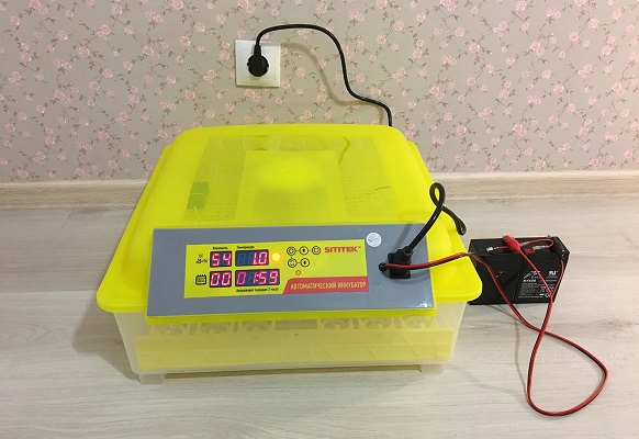 Бытовой инкубатор для 48 куриных яиц с контролем температуры, влажности и автоматическим переворотом SITITEK 48 (нажмите на фото для увеличения)