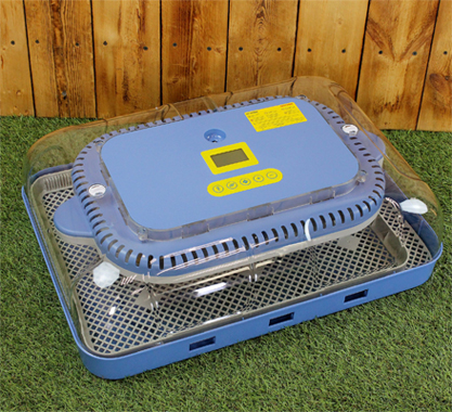 Инкубатор для яиц SITITEK 70: продуманная конструкция