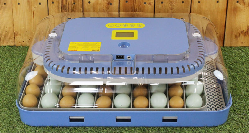 Инкубатор для яиц SITITEK 70