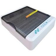 Инкубатор для яиц автоматический "SITITEK 36" Инкубатор для яиц автоматический "SITITEK 36"