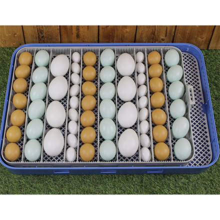 Инкубатор для яиц автоматический "SITITEK 70" Инкубатор для яиц автоматический "SITITEK 70"