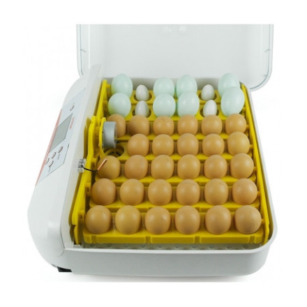 Домашний инкубатор для яиц "SITITEK 40"